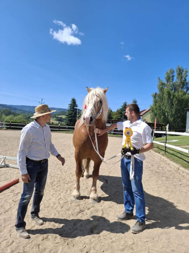 14d98f65-5e00-4755-b423-357ca61f8c80